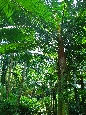 DSC01758.jpg