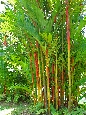 DSC01761.jpg