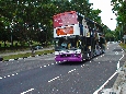 DSC01725.jpg
