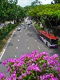 DSC01772.jpg