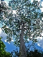 DSC01731.jpg