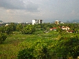 DSC01802.jpg