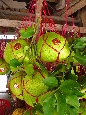 DSC01837.jpg