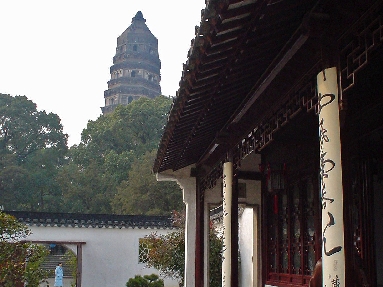 DSC02111.jpg