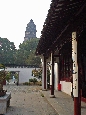 DSC02111.jpg