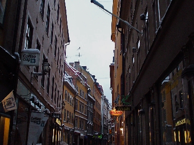 DSC02318.jpg