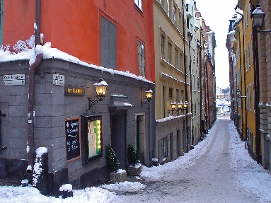 DSC02339.jpg