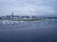DSC02253.jpg