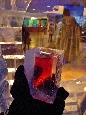 DSC02282.jpg