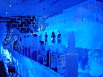 DSC02288.jpg