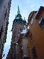 DSC02319.jpg
