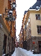 DSC02330.jpg