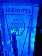 DSC02278.jpg