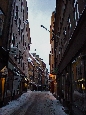 DSC02318.jpg