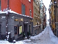 DSC02339.jpg