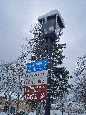 DSC02501.jpg