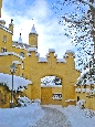 DSC02522.jpg