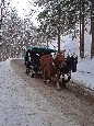 DSC02538.jpg