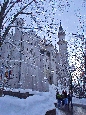 DSC02579.jpg