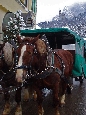 DSC02510.jpg