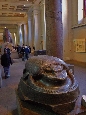 DSC02676.jpg