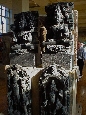 DSC02686.jpg