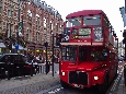 DSC02817.jpg