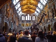 DSC02842.jpg