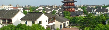 DSC03555.jpg