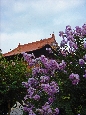 DSC00465.jpg