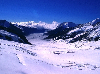 IMGP2300.JPG