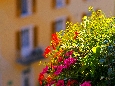 IMGP3451.JPG