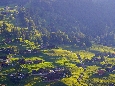 IMGP3434.JPG