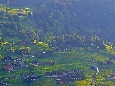 IMGP3439.JPG