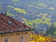 IMGP3450.JPG