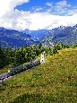 IMGP2432.JPG