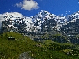 IMGP2411.JPG