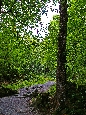 IMGP2644.JPG