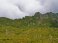 IMGP2814.JPG