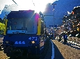 IMGP2949.JPG