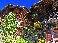 IMGP3146.JPG