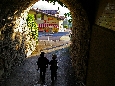 IMGP3458.JPG