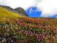 IMGP3773.jpg