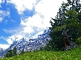 IMGP3932.jpg