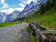 IMGP3935.jpg