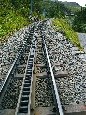 IMGP3947.jpg