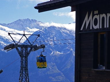 IMGP3700.jpg