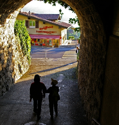 IMGP3458.JPG