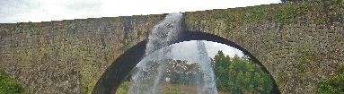 DSC01565+.jpg