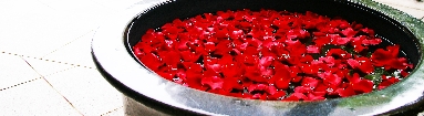 IMGP8648+.jpg